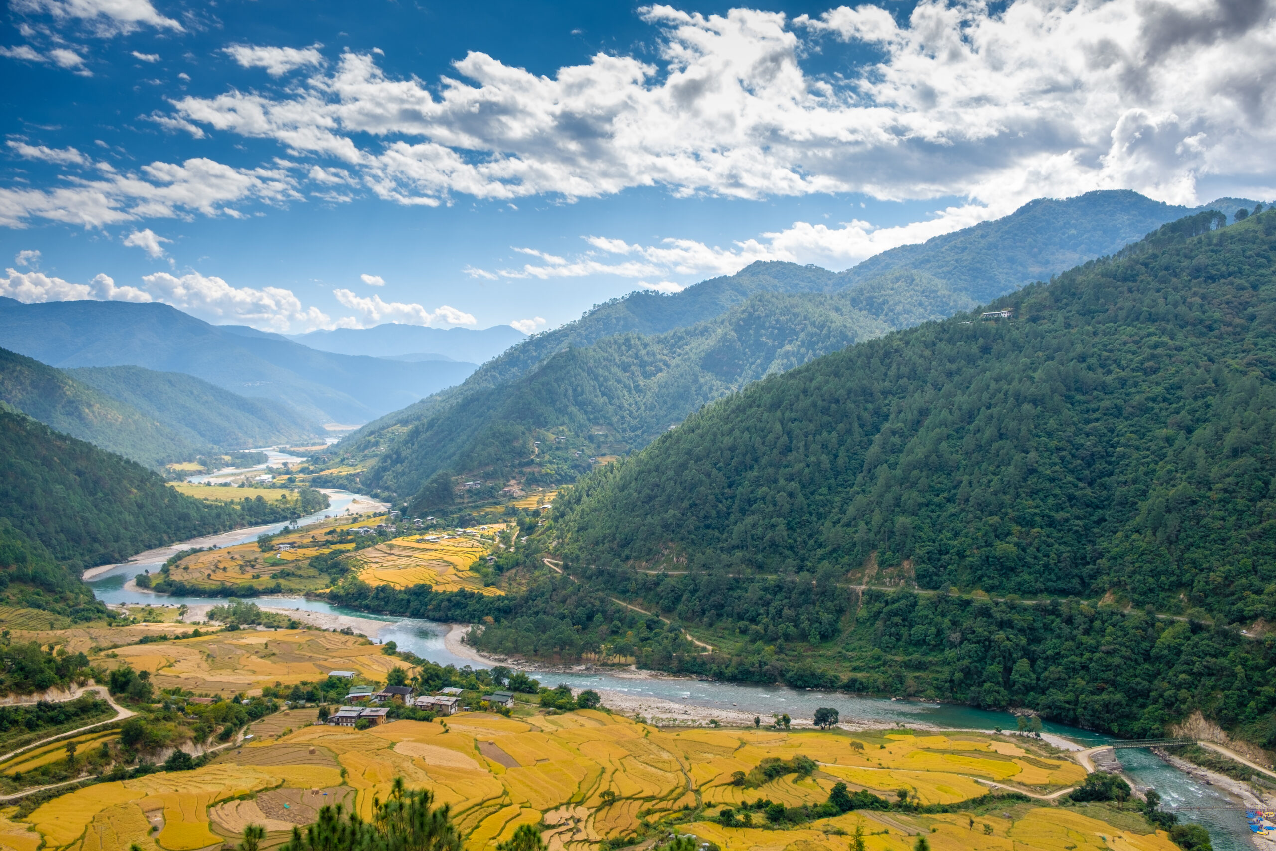 Punakha Valley rice fields in Western Bhutan