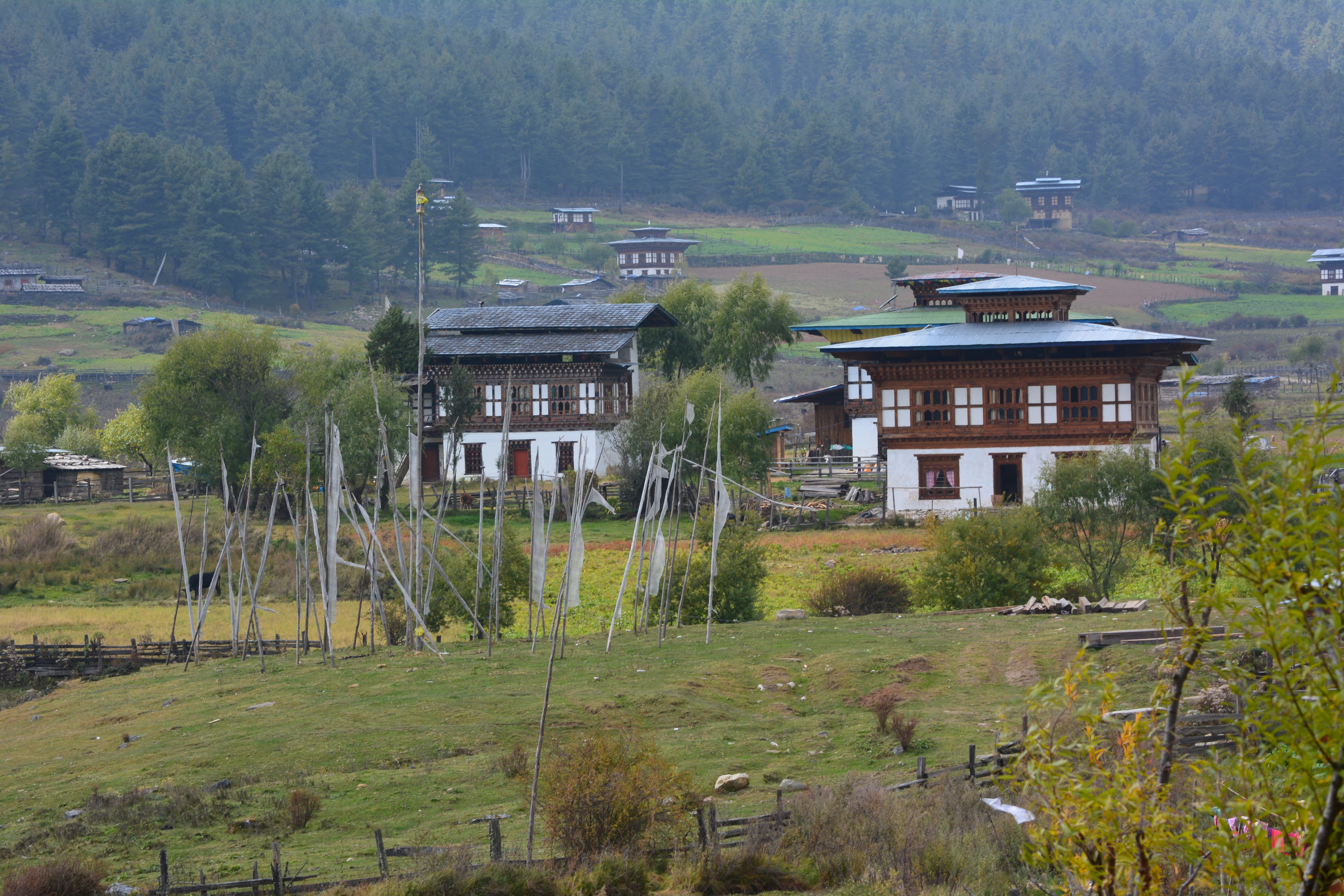 Bhutan Black-Necked Crane Festival